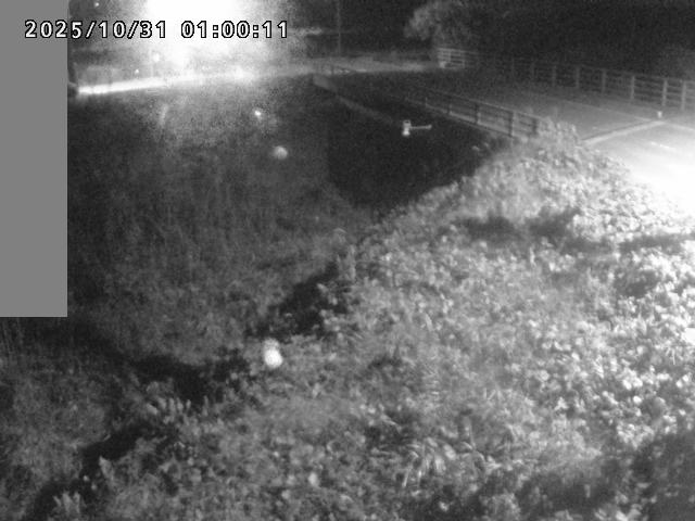 妻木川12025/10/31 07:50