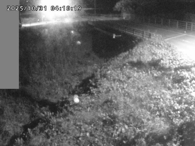 妻木川12025/10/31 07:50