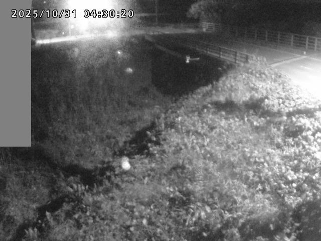 妻木川12025/10/31 07:50