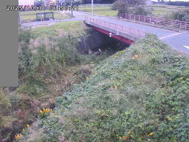 妻木川12025/10/31 07:50