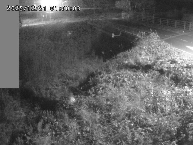 妻木川１2025/12/22 1:00:00