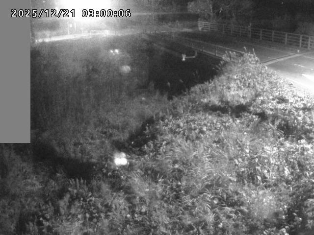 妻木川１2025/12/22 1:00:00