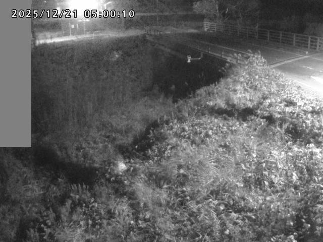 妻木川１2025/12/22 1:00:00