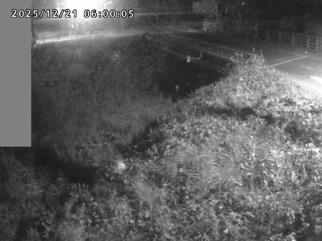 妻木川１2025/12/22 1:00:00