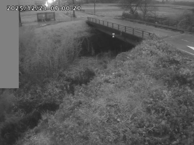 妻木川１2025/12/22 1:00:00