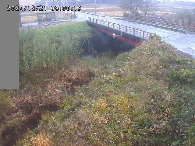 妻木川１2025/12/22 1:00:00