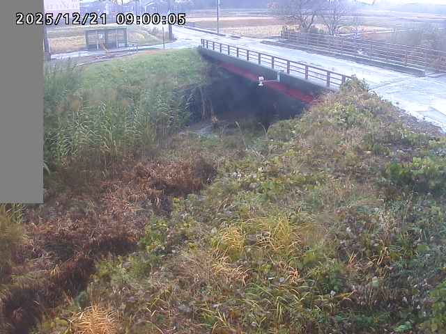 妻木川１2025/12/22 1:00:00