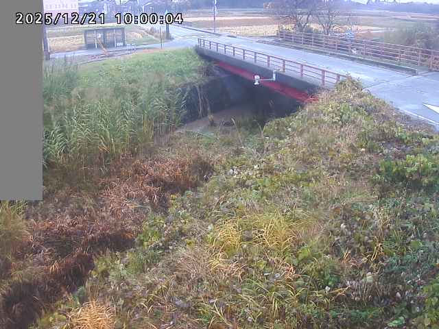 妻木川１2025/12/22 1:00:00