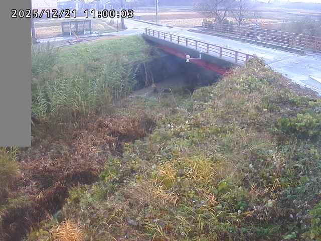 妻木川１2025/12/22 1:00:00