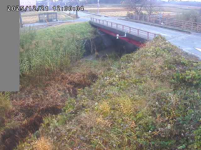 妻木川１2025/12/22 1:00:00