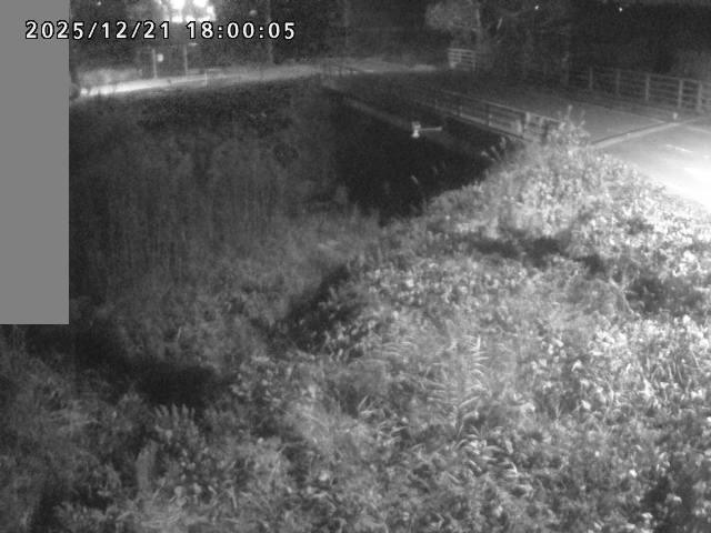 妻木川１2025/12/22 1:00:00