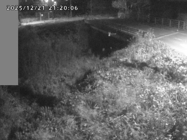 妻木川１2025/12/22 1:00:00