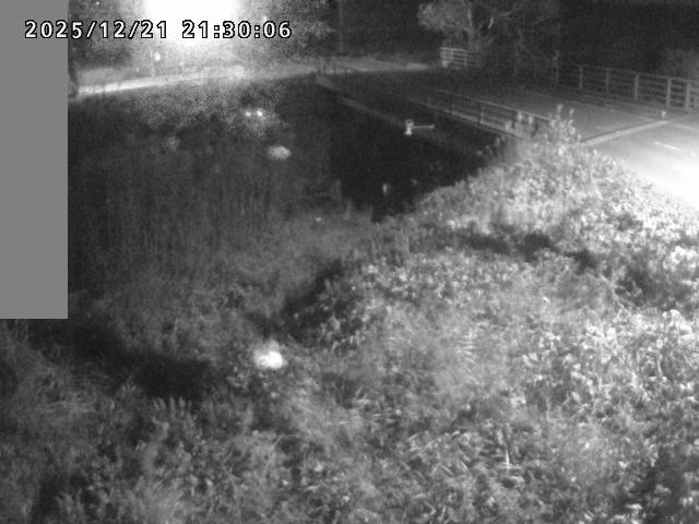 妻木川１2025/12/22 1:00:00