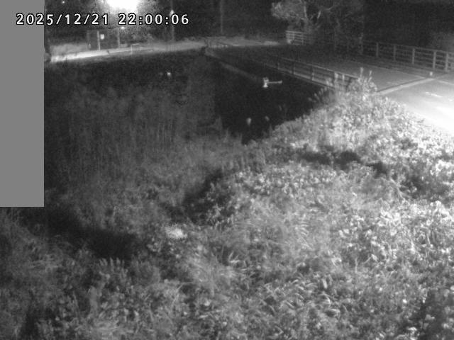 妻木川１2025/12/22 1:00:00