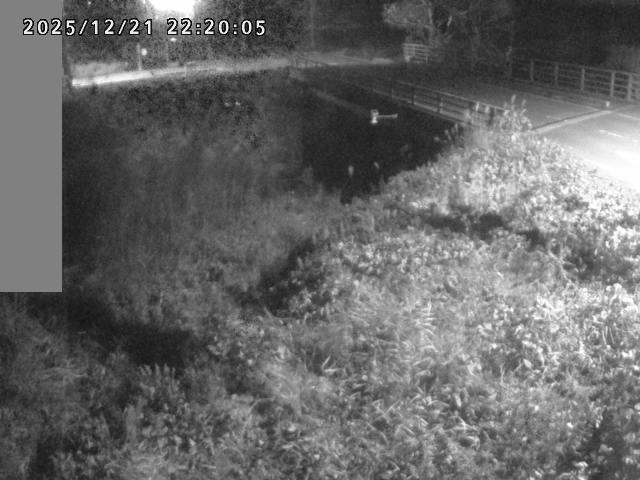 妻木川１2025/12/22 1:00:00