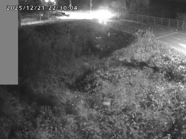 妻木川１2025/12/22 1:00:00