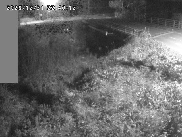 妻木川１2025/12/22 1:00:00
