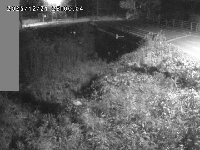 妻木川１2025/12/22 1:00:00