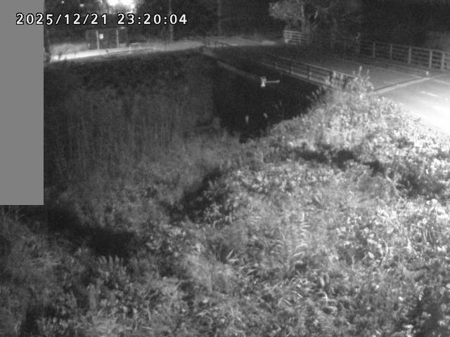 妻木川１2025/12/22 1:00:00