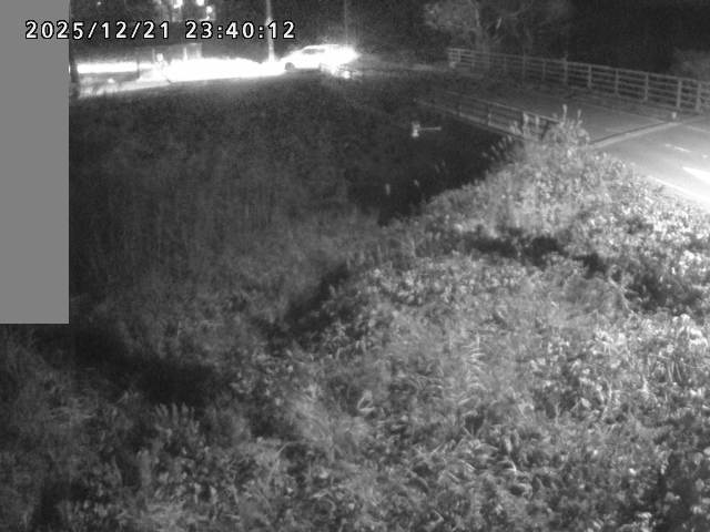 妻木川１2025/12/22 1:00:00