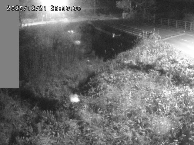 妻木川１2025/12/22 1:00:00