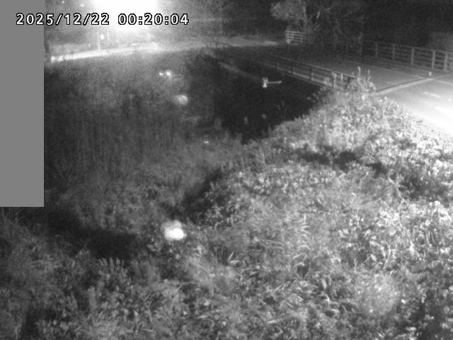 妻木川１2025/12/22 1:00:00