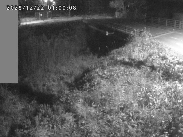 妻木川１2025/12/22 1:00:00