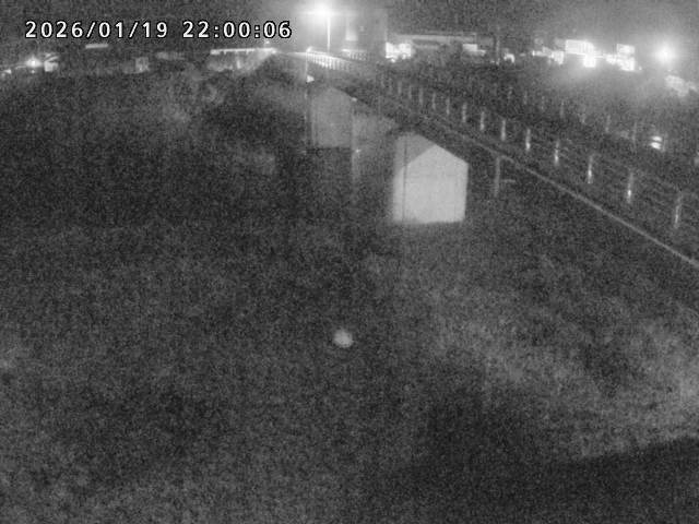 日野川２2026/01/20 13:10:00