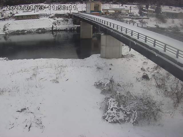 日野川２2026/01/23 15:40:00
