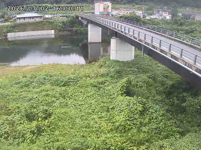 日野川２2026/07/03 9:30:00
