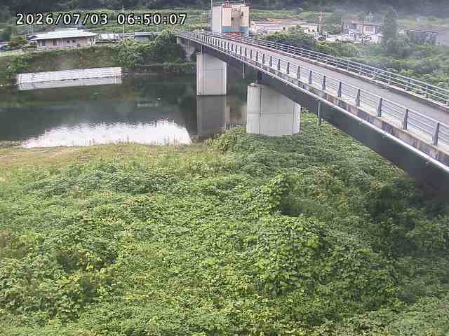 日野川２2026/07/03 9:30:00