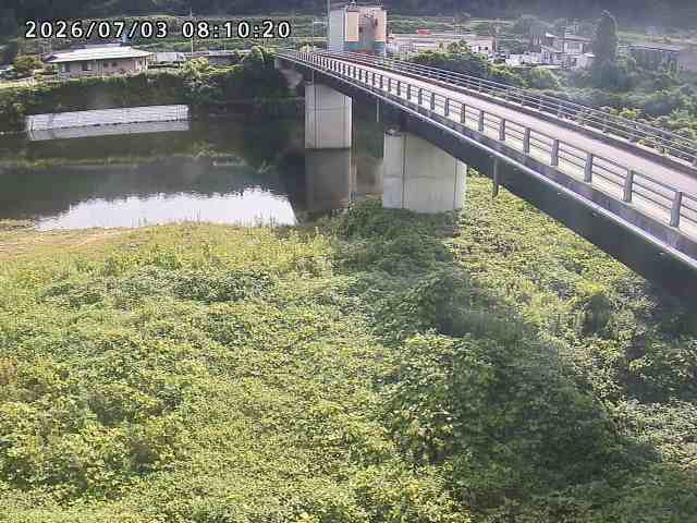 日野川２2026/07/03 9:30:00