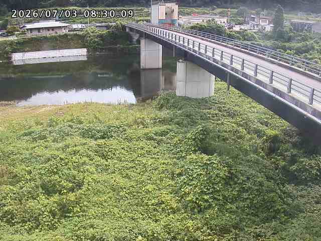 日野川２2026/07/03 9:30:00