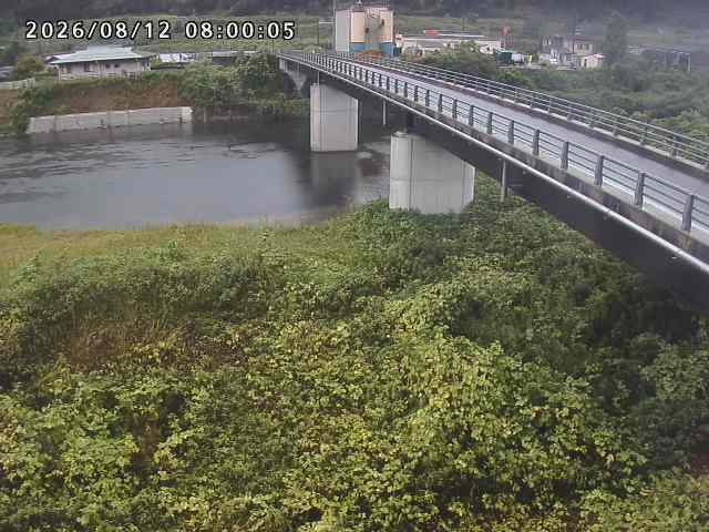 日野川２2026/08/13 5:00:00