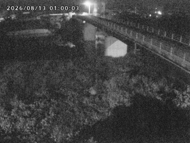 日野川２2026/08/13 5:00:00