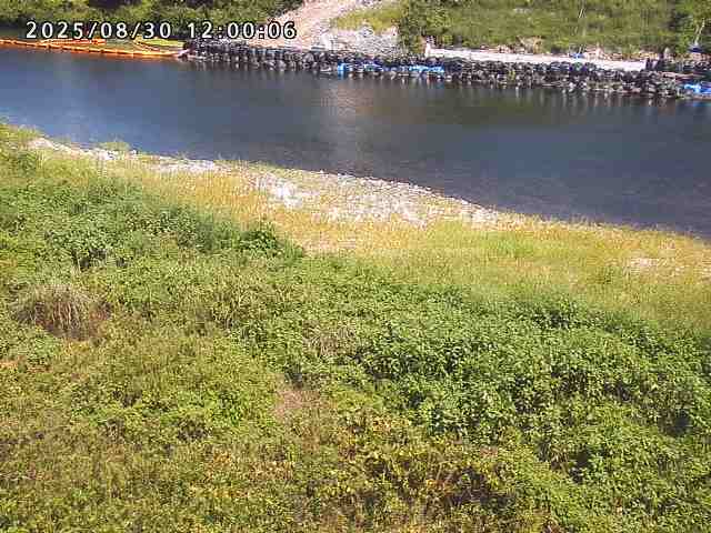 日野川２2025/08/31 9:10:00
