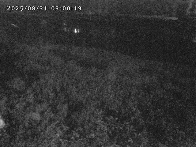 日野川２2025/08/31 9:10:00
