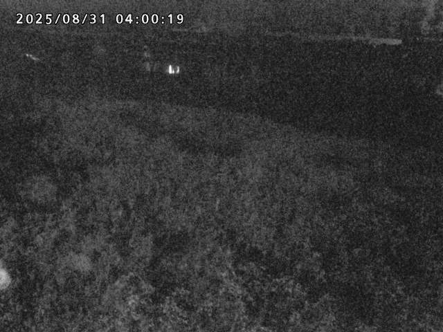 日野川２2025/08/31 9:10:00