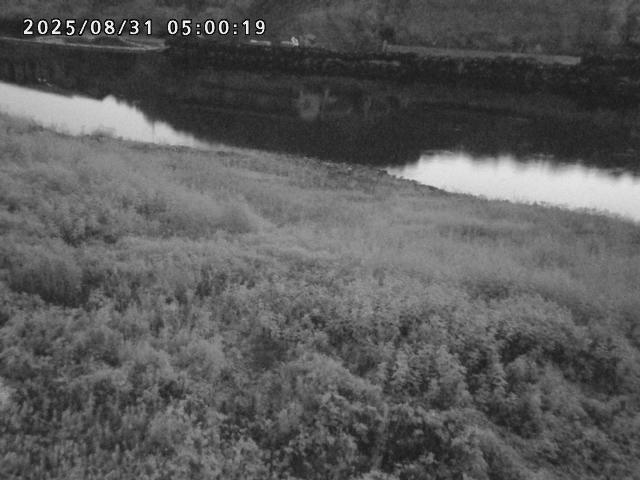 日野川２2025/08/31 9:10:00