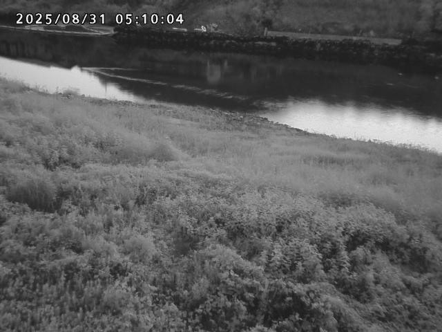 日野川２2025/08/31 9:10:00