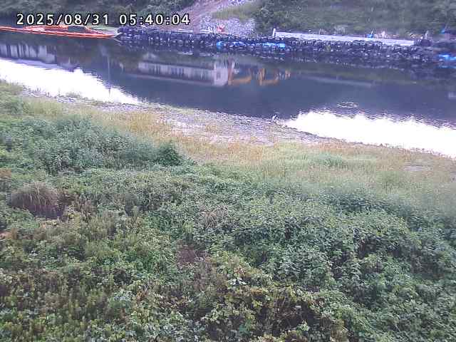日野川２2025/08/31 9:10:00
