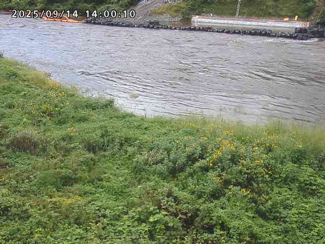 日野川２2025/09/15 13:10:00