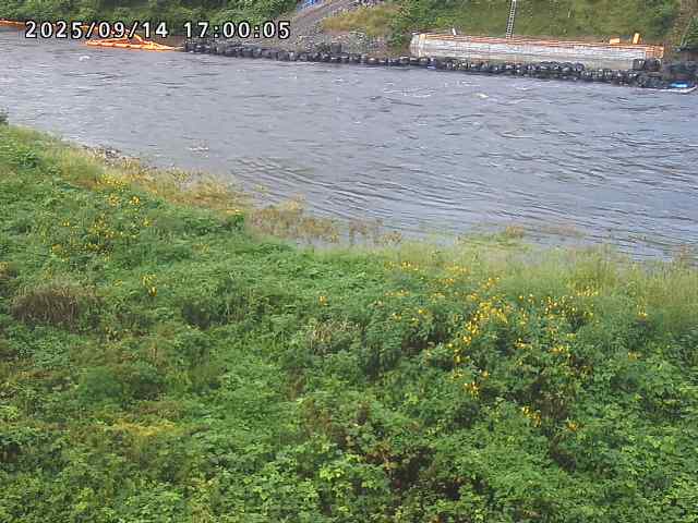 日野川２2025/09/15 13:10:00