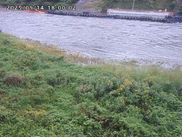 日野川２2025/09/15 13:10:00