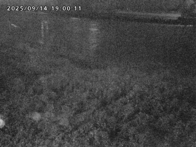 日野川２2025/09/15 13:10:00