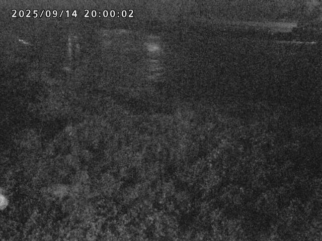 日野川２2025/09/15 13:10:00