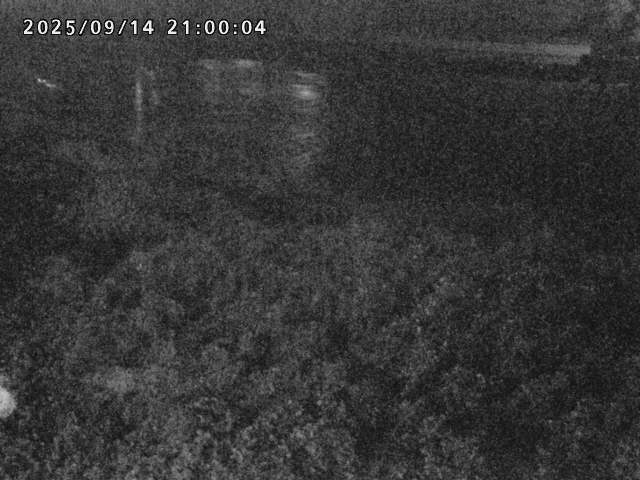 日野川２2025/09/15 13:10:00