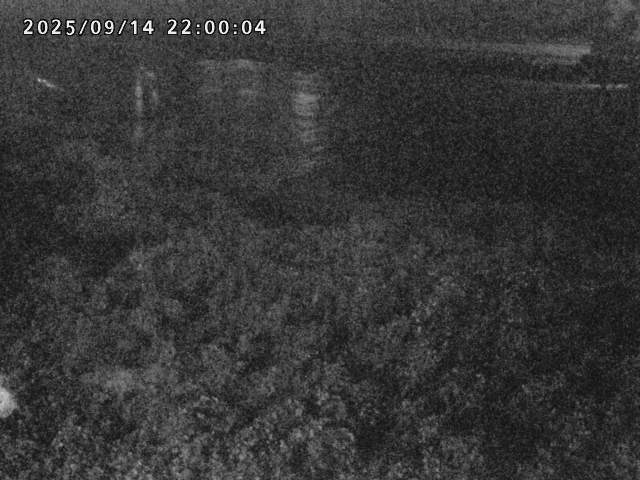 日野川２2025/09/15 13:10:00