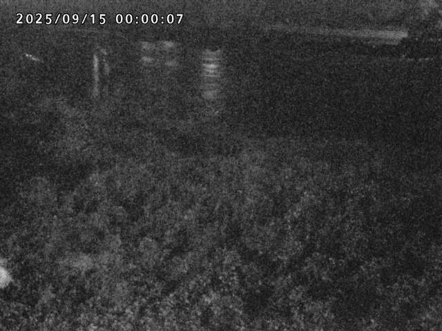 日野川２2025/09/15 13:10:00