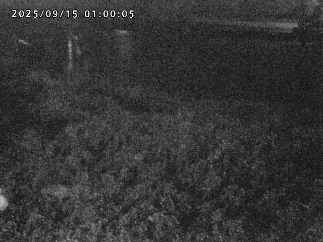 日野川２2025/09/15 13:10:00